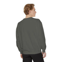 Load image into Gallery viewer, Petails and Attitude Light Cat - Sweatshirt
