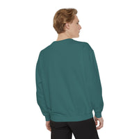Load image into Gallery viewer, Petails and Attitude Light Cat - Sweatshirt
