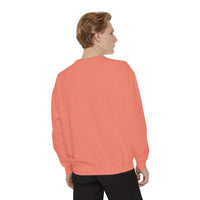 Load image into Gallery viewer, Petails and Attitude Light Cat - Sweatshirt

