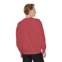 Load image into Gallery viewer, Petails and Attitude Light Cat - Sweatshirt
